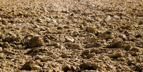 Newly Ploughed Field
