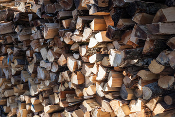A stack of felled timber in sunlight