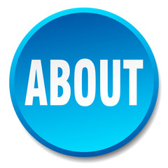 about blue round flat isolated push button