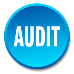 audit blue round flat isolated push button