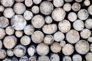 A stack of round wood