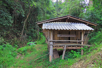 old deserted house in the forest