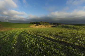 Sunrise In The Farmland
