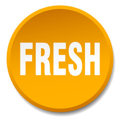 fresh orange round flat isolated push button