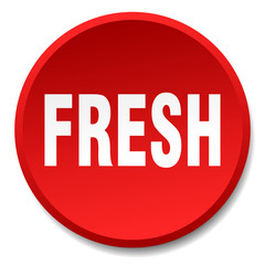 fresh red round flat isolated push button
