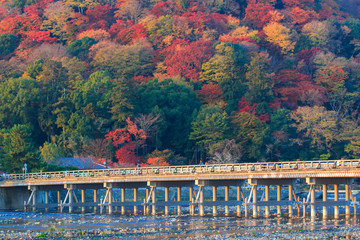 朝日さす嵐山の紅葉と渡月橋　その１