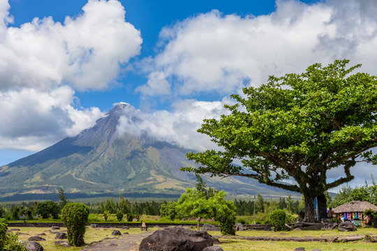 Amazing landscape with a view of  beautiful active Mayon volcano, tall tree and cloudy sky. Legazpi, Philippines.