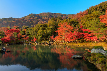 朝の光に照らされる、紅葉と大池　その１