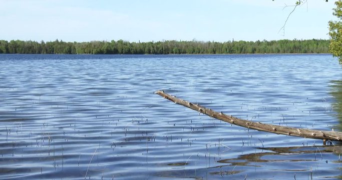 Panoramic view of calm water in Cyprus lake, on the Bruce peninsula in Ontario, Canada
