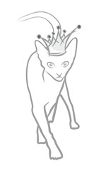 Domestic cat in crown. 