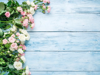 Delicate fresh roses on the blue wooden background.