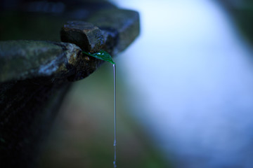 石甕から流れ出る清水