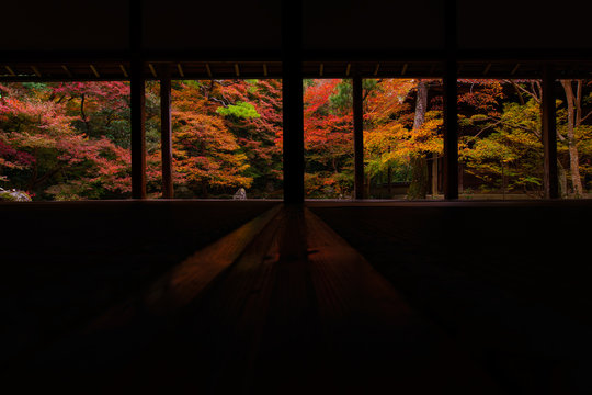 和室の奥に広がる紅葉