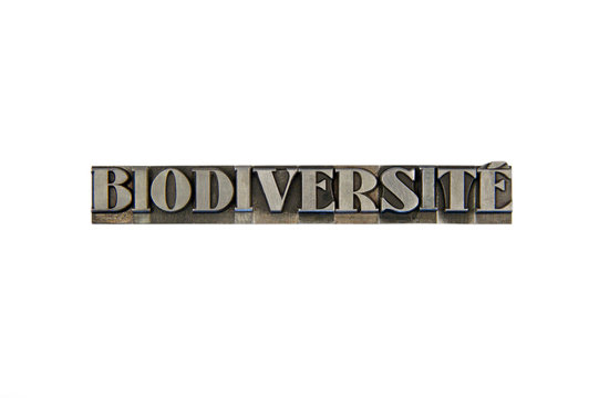Biodiversité / caracteres d'imprimerie en plomb 