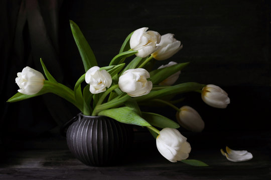 Fototapeta Bouquet of white tulips on a black background