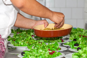 Zubereitung Salat Koch