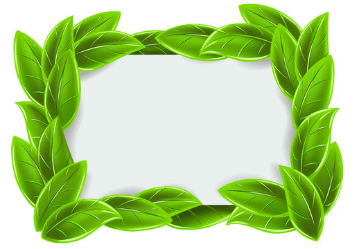 Green Frame With Leaves