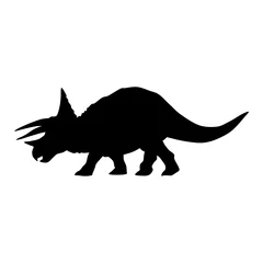 Foto op Canvas triceratops dinosaur silhouette  © tcheres