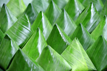 Dessert Banana leaf  wrap