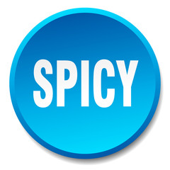 spicy blue round flat isolated push button