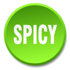 spicy green round flat isolated push button