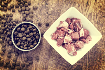 Meat and dry dog's food