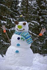 Smiling Snowman with snow covered trees in background