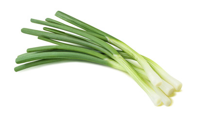 Green spring onion isolated on white diagonal