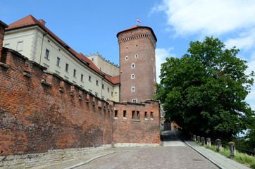 The wall of the royal castle in Krakow (Poland)