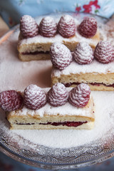 Woman holding a sweet cake tray with berries