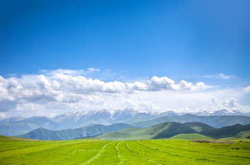 Fototapeta premium landscape with mountains and sky