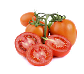 tomatoes on white background