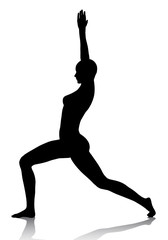 Fototapeta na wymiar Female silhouette in yoga position