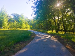 Pathway in Meadow