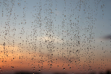 Drops of rain on the window