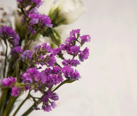 Purple wild flowers