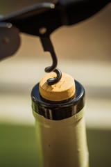 Cork Screw