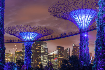 Singapore super tree at night with beautiful lightup, Garden by the Bay