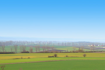 Fototapeta na wymiar beautiful landscape with green fields and blue sky