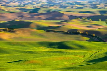 The rolling hills farmland at sunset. Palouse Hills in Washington, United State of America.
