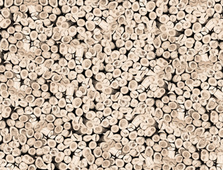 cream tone photo abstract of wood log texture background