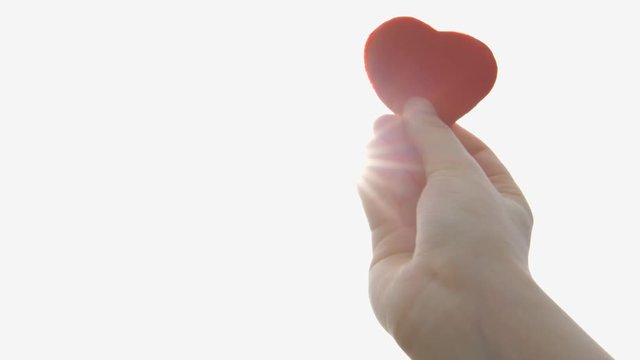 Red Heart against the Sunlight