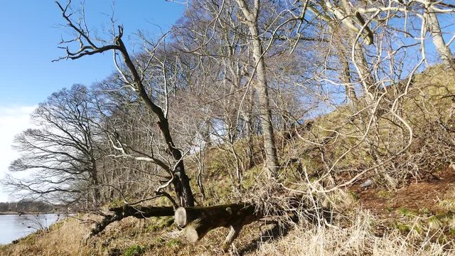 Beautiful River Dee in Early Spring, Aberdeenshire - Aberdeen Scotland
