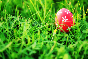 easter egg on green grass