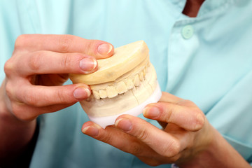Technik dentystyczny pracuje nad modelem szczęki 