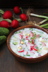 okroshka. traditional Russian cold soup