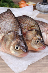 Fresh  crucian carp