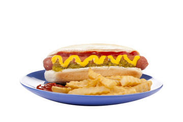a plate with hotdog sandwich and fries