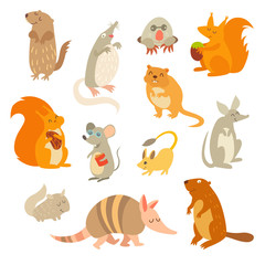 Rodent of the world, a big set vector illustration. Isolated on a white background. Beaver, weasel, squirrel, muskrat, tarbaganchik, muskrat, Battleship, bandicoot