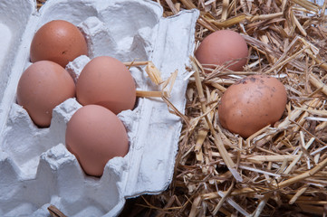 farm eggs